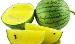 吃瓜爆料小学生图片,揭秘小学生吃瓜爆料的幕后故事